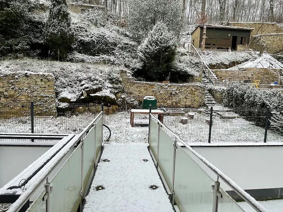Penthouse With Garden And Parking In Center- Kpg Lejlighed Luxembourg By Luxembourg